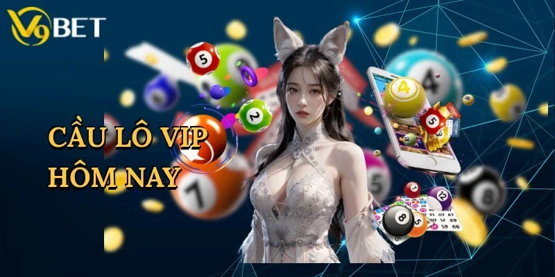 cau-lo-vip-hom-nay-1